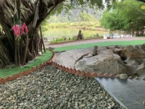 Công Ty TNHH Đầu Tư Thương Mại Và Dịch Vụ Môi Trường Xanh Việt – Đức
