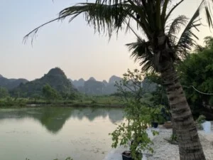 Công Ty TNHH Đầu Tư Thương Mại Và Dịch Vụ Môi Trường Xanh Việt – Đức