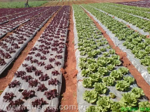 Cơ Khí An Vạn Phúc – Công Ty TNHH Cơ Khí An Vạn Phúc