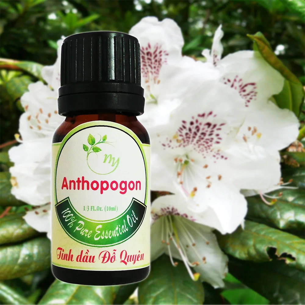 Công Ty TNHH Tinh Dầu Như ý