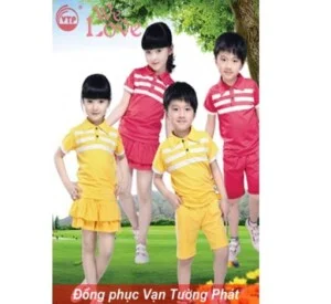 Công Ty TNHH MTV DV TM Vạn Tường Phát