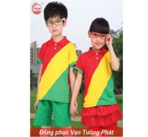 Công Ty TNHH MTV DV TM Vạn Tường Phát