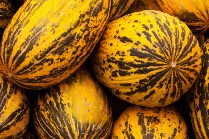 Chế Phẩm Sinh Học CPART – Công Ty Cổ Phần CPART