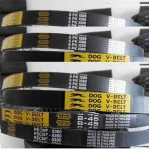 Công Ty CP Đầu Tư Thương Mại Quốc Tế Thiên An