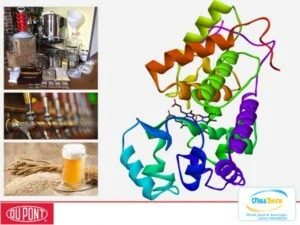 VinaBeco – Công Ty CP Công Nghệ Bia Rượu Nước Giải Khát Việt Nam