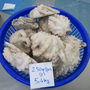 Công Ty CP Xuất Nhập Khẩu Seafood Travel Construction