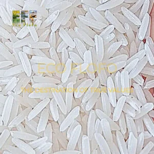 Nông Sản ECO FLOFO  – Công Ty TNHH Sản Xuất và Thương Mại Toàn Cầu ECO FLOFO