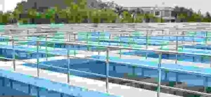 Công Ty CP – Tổng Công Ty Nước – Môi Trường Bình Dương