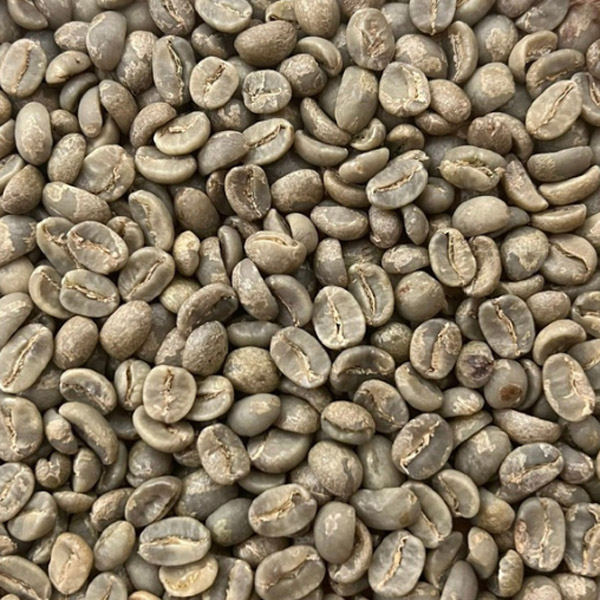 Nông Sản Vilaconic – Công Ty Cổ Phần Vilaconic