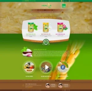 Công Ty TNHH TV Net