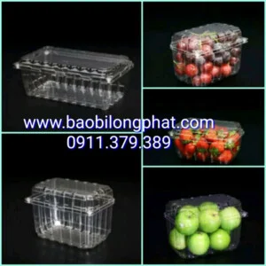 Bao Bì Long Phát – Công Ty TNHH Bao Bì Long Phát