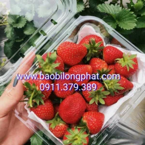 Bao Bì Long Phát – Công Ty TNHH Bao Bì Long Phát