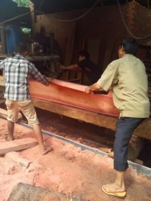 Gỗ Minh Hải – Công Ty TNHH Một Thành Viên Đầu Tư Sản Xuất Thương Mại Minh Hải