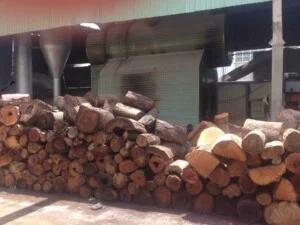 Chất Đốt Công Nghiệp Tân Phúc An – Công Ty Thương Mại Dịch Vụ Môi Trường Vận Tải Phúc An