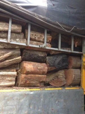 Chất Đốt Công Nghiệp Tân Phúc An – Công Ty Thương Mại Dịch Vụ Môi Trường Vận Tải Phúc An