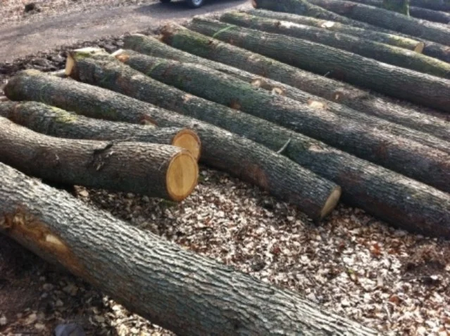 Công Ty TNHH Kinh Doanh Xuất Nhập Khẩu Và Đầu Tư HT