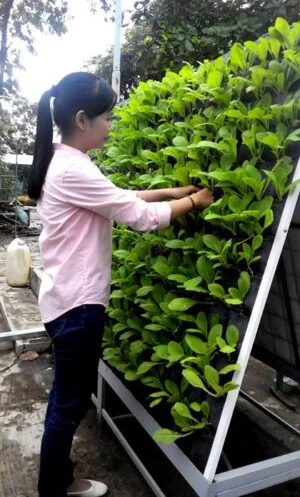 Công Ty Cổ Phần Thương Mại Tổng Hợp Và Xây Dựng Hạ Tầng Việt