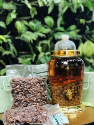 Công Ty TNHH Thương Mại Dịch Vụ Cao Nguyên Việt Nam