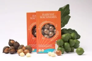 Hạt Dinh Dưỡng TBK Green Food – Công Ty Cổ Phần TBK Green Food