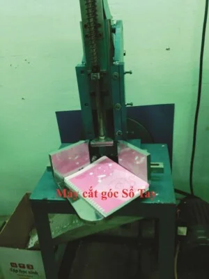 Công Ty TNHH Một Thành Viên Ngành In Tân Thuận Thái