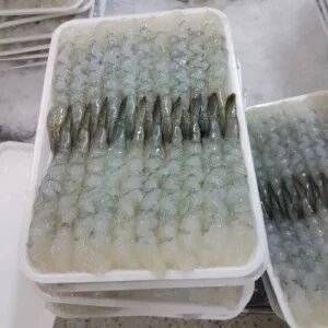 Công Ty CP Xuất Nhập Khẩu Seafood Travel Construction