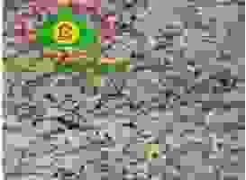 Công Ty TNHH Bảo Lâm Stone