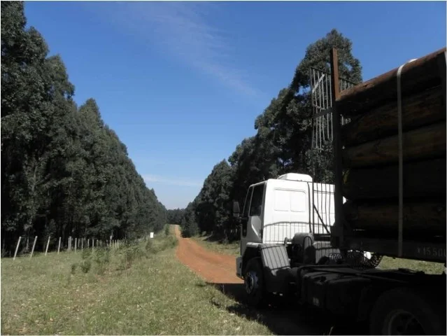 Công Ty TNHH Kinh Doanh Xuất Nhập Khẩu Và Đầu Tư HT