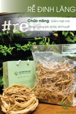 Công Ty TNHH Thương Mại Dịch Vụ Cao Nguyên Việt Nam