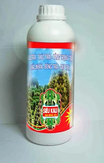 Công Ty TNHH DTK Đắk Nông