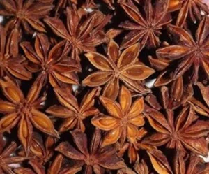 Công Ty CP Dược Liệu Và Thực Phẩm Việt Nam