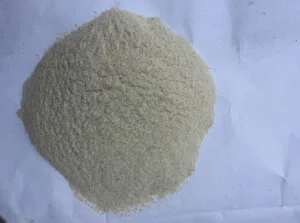 Công Ty TNHH Một Thành Viên Chế Biến Nông Sản Thiên Đạt