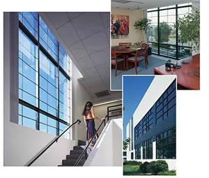 Công Ty Cổ Phần Thương Mại Bắc Hải