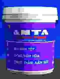 Công Ty Cổ Phần Sơn Ant Việt Nam