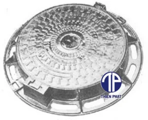 Chi Nhánh Công Ty TNHH Xuất Nhập Khẩu Thiên Phát