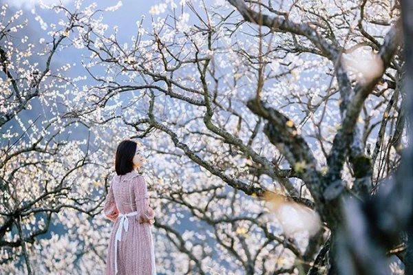 Công Ty TNHH Thương Mại Và Dịch Vụ Sun Dragon Travel