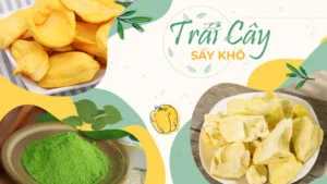 Nước Giải Khát Thành Công Vina – Công Ty TNHH Sản Xuất Xuất Nhập Khẩu Thành Công Vina