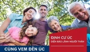 Victory Education Migration –  Công Ty TNHH Tin Học Ngoại Ngữ Toàn Thắng