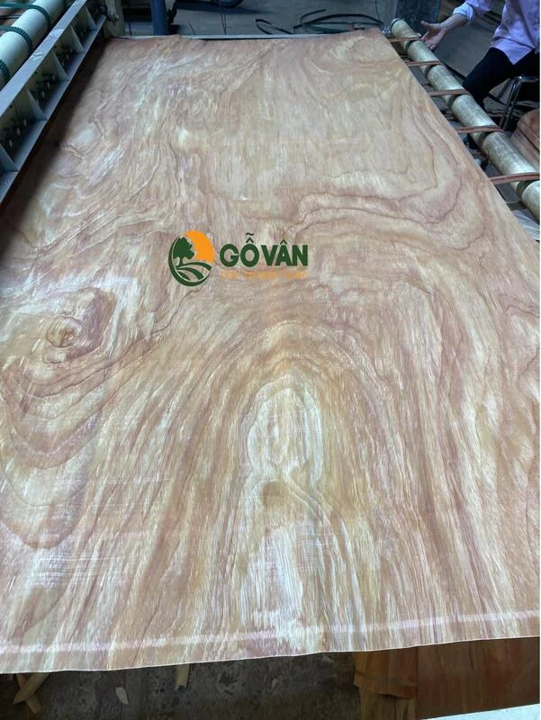 Ván Công Nghiệp, Veneer Gỗ Vân – Công Ty TNHH Một Thành Viên Tân Thành Long (Gỗ Vân)