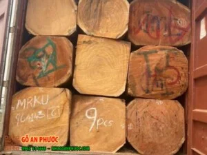 Gỗ An Phước – Công Ty TNHH Thương Mại Và Xây Dựng Chế Biến Lâm Sản An Phước