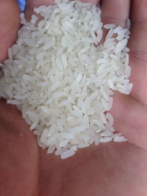 Gạo Tươi Việt Hương Chiến – Công Ty TNHH Sản Xuất Và Thương Mại Việt Hương Chiến