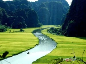 Công Ty TNHH Một Thành Viên Đầu Tư Phát Triển Bửu Long