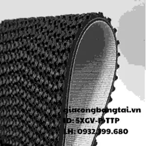 Băng Tải Thành Thịnh Phát – Công Ty SX-TM Công Nghiệp Thành Thịnh Phát
