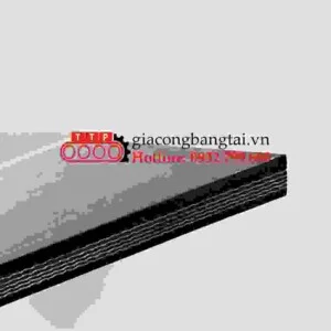 Băng Tải Thành Thịnh Phát – Công Ty SX-TM Công Nghiệp Thành Thịnh Phát