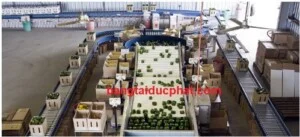 Băng Tải Đức Phát – Công Ty TNHH Đầu Tư Phát Triển Sản Xuất Thương Mại Đức Phát