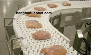 Băng Tải Đức Phát – Công Ty TNHH Đầu Tư Phát Triển Sản Xuất Thương Mại Đức Phát