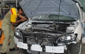 Công Ty Trách Nhiệm Hữu Hạn Xe Hơi Vũng Tàu