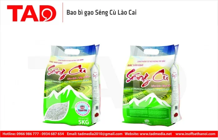 In TAD – Công Ty TNHH Tư Vấn Thiết Kế Và Quảng Cáo Truyền Thông TAD Việt Nam