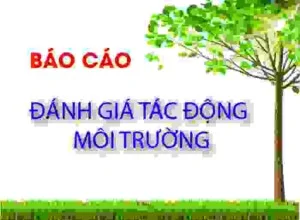 VINAENVI – Công Ty TNHH Kỹ Thuật Công Nghệ Môi Trường VINAENVI