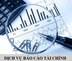 Chi Nhánh – Công Ty CP Đại Lý Thuế Viện Kế Toán Việt Nam