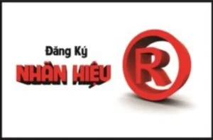 Công Ty Luật TNHH Elite